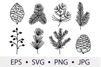 Christmas tree branches svg. Xmas plants clipart with berries, pine co