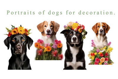 Dog. Portraits of dogs for decoration. Flowers and Dog. PNG