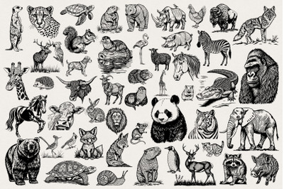 Animal Photoshop Brushes Collection