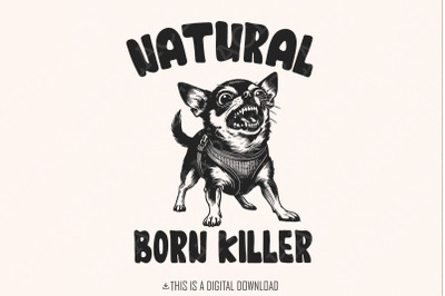 Born Killer Chihuahua PNG Clipart, Funny Dog Art, Vintage Dog Illustra