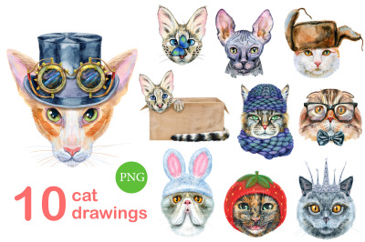 Watercolor cats. Set 10