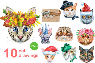 Watercolor cats. Set 11