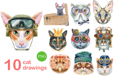 Watercolor cats. Set 12