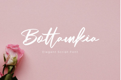 Bottamkia Brush Script Font