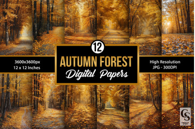 Autumn Paved Forest Backgrounds