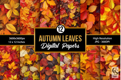 Fall Autumn Bright Leaves Digital Papers