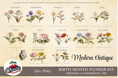 Birth Month Flowers Clipart, Antique Floral PNG bundle, DIY