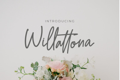 Willattona Monoline Script Font