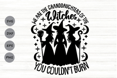 We Are The Granddaughters Of The Witches You Couldnt Burn Svg.