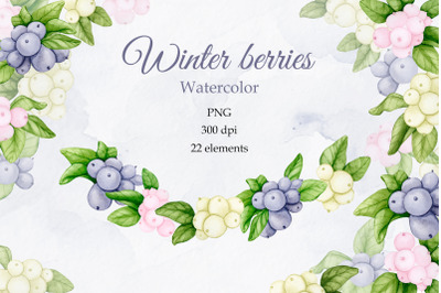 Winter berries.Watercolor PNG collection