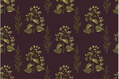 Botanical plant seamless pattern with wildflowers vector illustration.