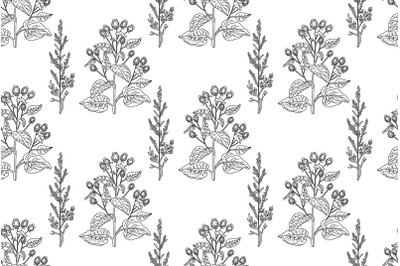 Line art botanical seamless plant pattern with wildflowers vector bg