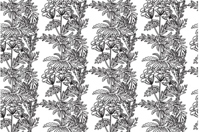 Line art botanical seamless plant pattern with flowers vector bg