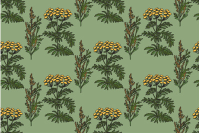 Botanical plant seamless pattern with flowers vector illustration bg