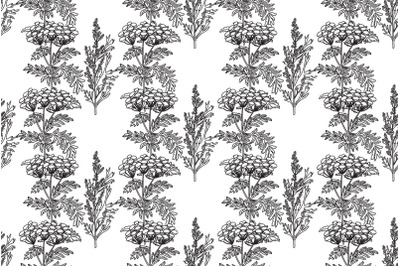 Line art botanical seamless plant pattern with flowers vector bg