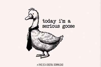 Serious Goose PNG, Silly Goose Era, Funny Silly Goose, Cute Goose Grap