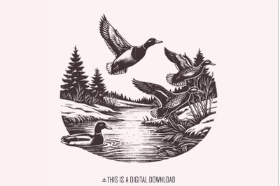 Vintage Duck PNG, Mallard Duck Clipart, Wild Duck Sublimation, Flying