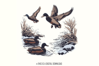 Vintage Duck PNG, Mallard Duck Clipart, Wild Duck Sublimation, Flying