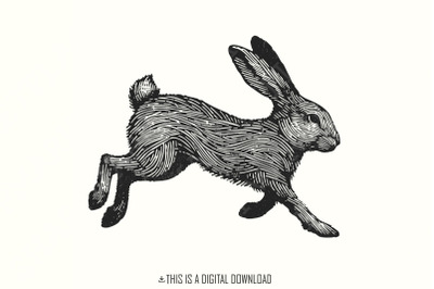 Cute Bunny Sillhouette Png, Adult Easter Png, Rabbit Draw, Vintage Sub