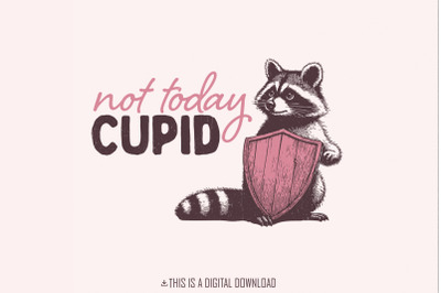 Not Today Cupid Png, Funny Feral Raccoon Valentines Day PNG, Retro Val