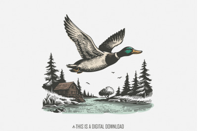 Vintage Wild Duck PNG, Mallard Duck Clipart, Duck Hunting Sublimation,