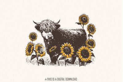 Highland Cow PNG Sunflowers Clipart, Farm Animal Sublimation Design, C