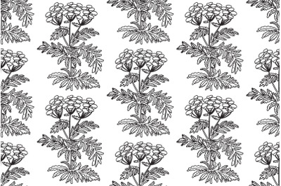 Line art botanical seamless plant pattern with flowers vector illustra