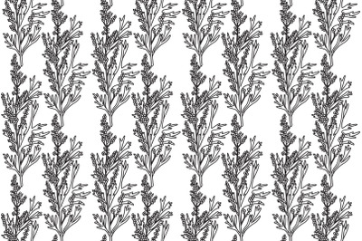 Line art botanical seamless plant pattern with berries vector illustra