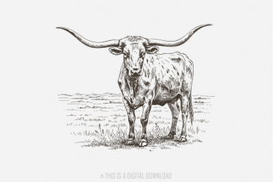 Texas Longhorn, Western PNG, Cowgirl Cowboy Country Design, Vintage St
