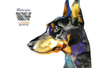 Watercolor Doberman Pinscher