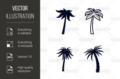 Tropical Palm Trees
