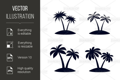 Tropical Palm Trees