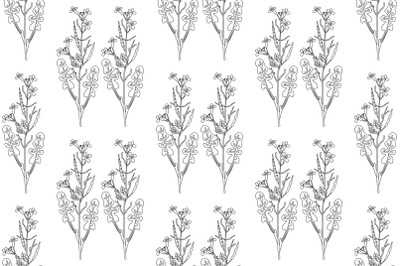 Line art botanical plants floral seamless pattern with wildflowers vec