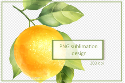 Lemon Branch PNG illustration