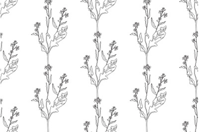 Line art botanical plants floral seamless pattern with wildflowers bou