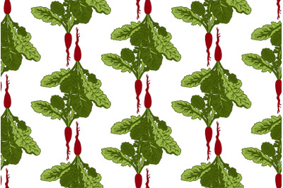 Botanical abstract seamless pattern with Radishs vector illustration
