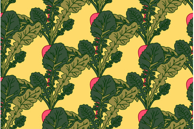 Botanical abstract seamless pattern with Radishs vector illustration