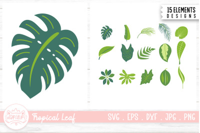 Tropical Leaf Illustration Bundle | Tropical Plant Clipart