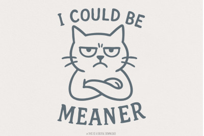 Meaner Tee PNG, Spicy Attitude Digital, Confident Shirt Print, Funny P