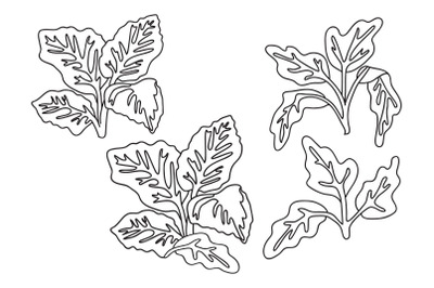 Line art tropical leaves isolated on white background. Hand drawn bota