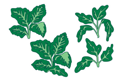 Botanical tropical leaves isolated on white background. Hand drawn gre
