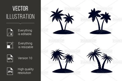 Tropical Palm Trees