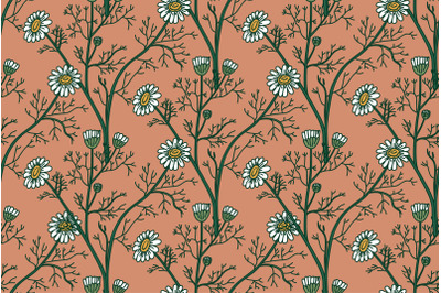 Botanical floral seamless pattern with chamomile flowers vector illust