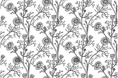 Line art botanical seamless floral pattern with flowers chamomile vect