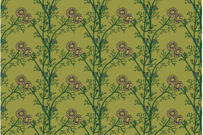 Botanical floral seamless pattern with chamomile flowers vector illust