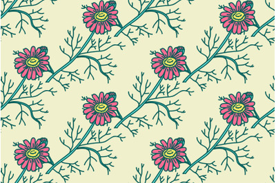 Botanical floral seamless pattern with pink daisy flowers vector illus