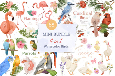 Mini Watercolor Birds Bundle