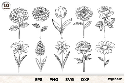 Flowers SVG Bundle