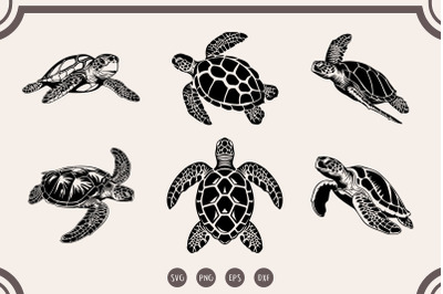 Sea Turtle svg Bundle , Sea Turtle svg, Sea Turtle Clipart