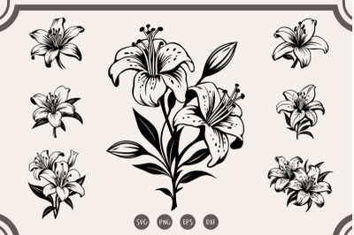 Lily svg Bundle, Lily Flower svg, Lily Cut File svg